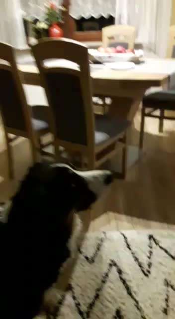 Trick Challenge Nr. 8-Beitrag-Bild