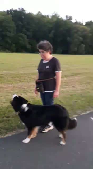 Hoopers unser Sport-Beitrag-Bild