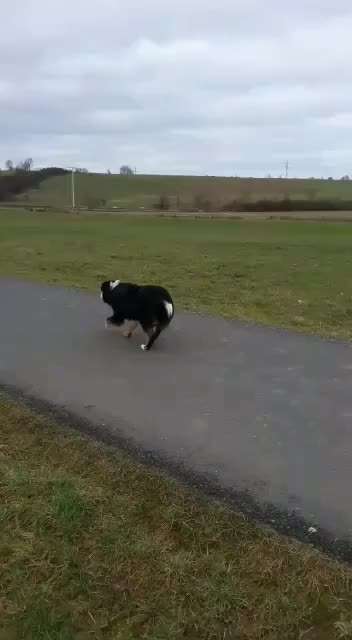 𝕋ℝ𝕀ℂ𝕂 ℂℍ𝔸𝕃𝕃𝔼ℕ𝔾𝔼 ℕℝ. 𝟚-Beitrag-Bild