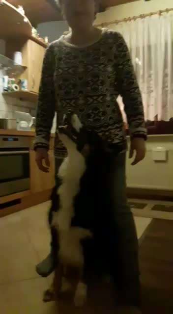 Trick Callange Nr.4-Beitrag-Bild