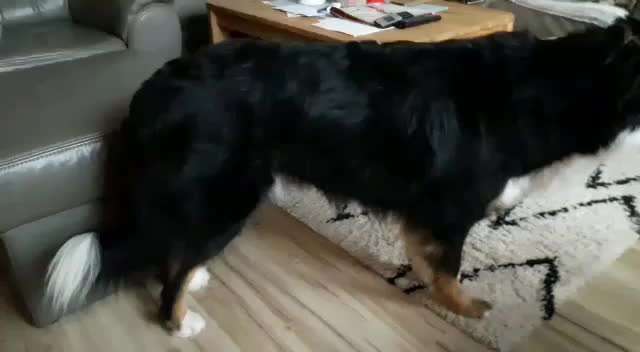 Trick Challenge ABC-Beitrag-Bild