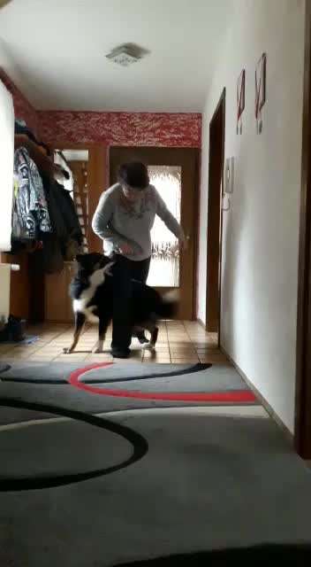 Trick Challenge Nr 6-Beitrag-Bild