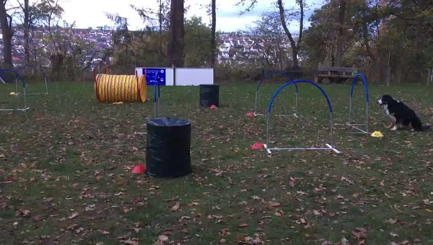 Hoopers unser Sport-Beitrag-Bild