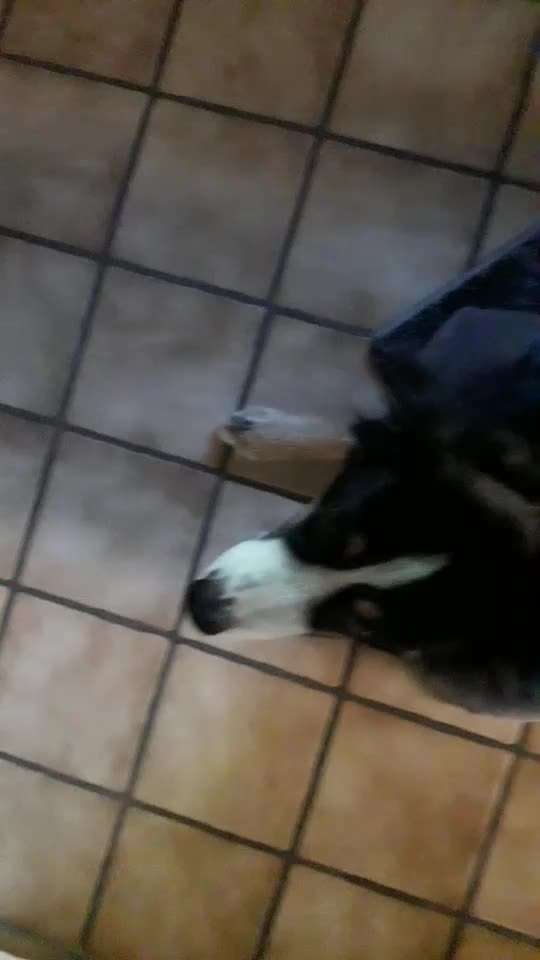 Trick Challenge Nr. 14-Beitrag-Bild