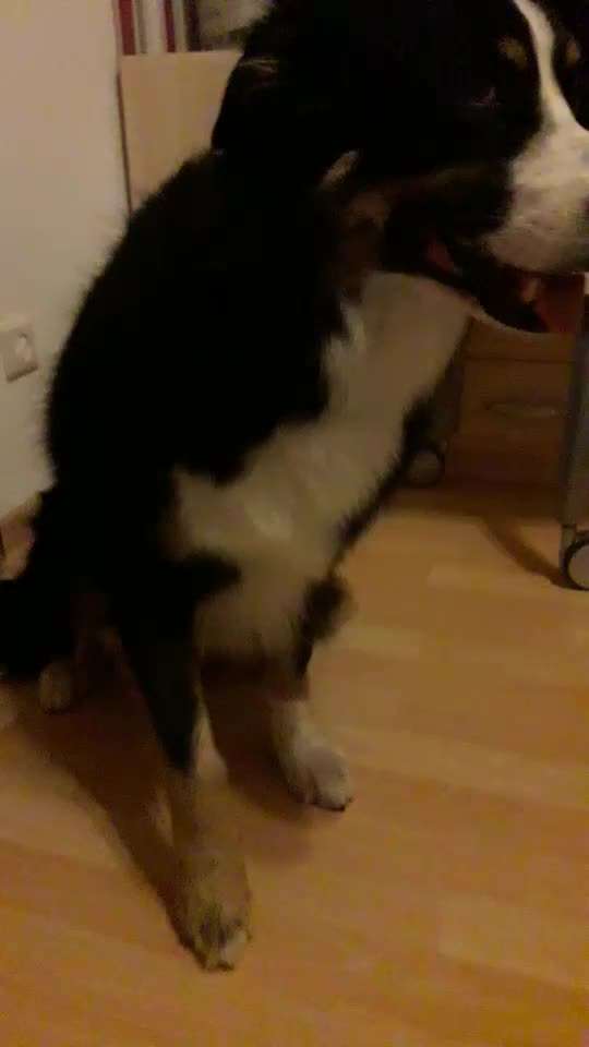 Trick Challenge Nr. 16-Beitrag-Bild