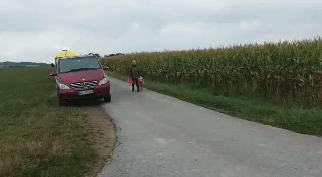 Mantrailing-Beitrag-Bild