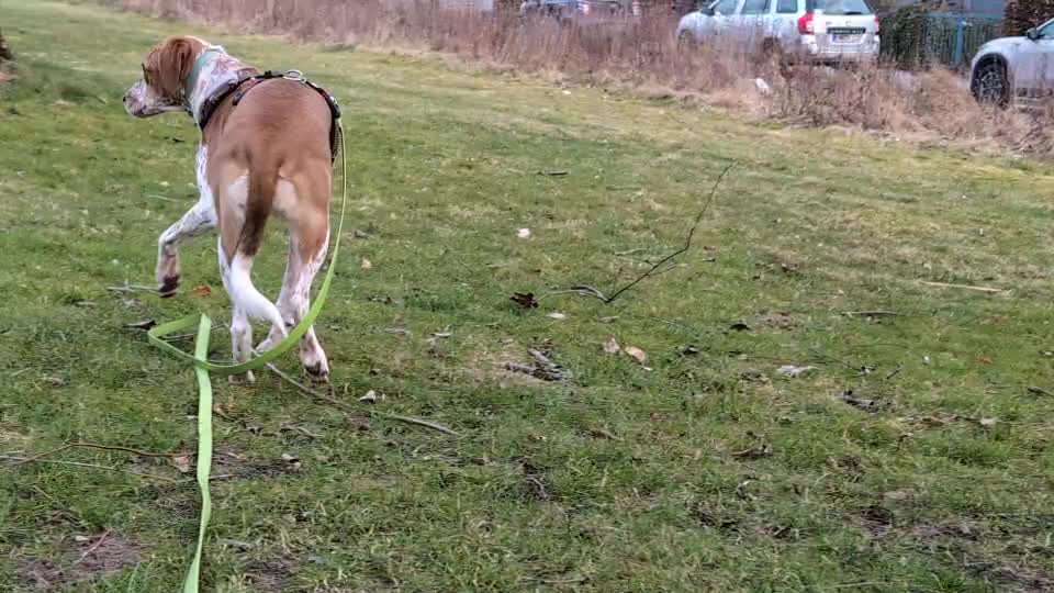 Zittern (bei Stress?)-Beitrag-Bild