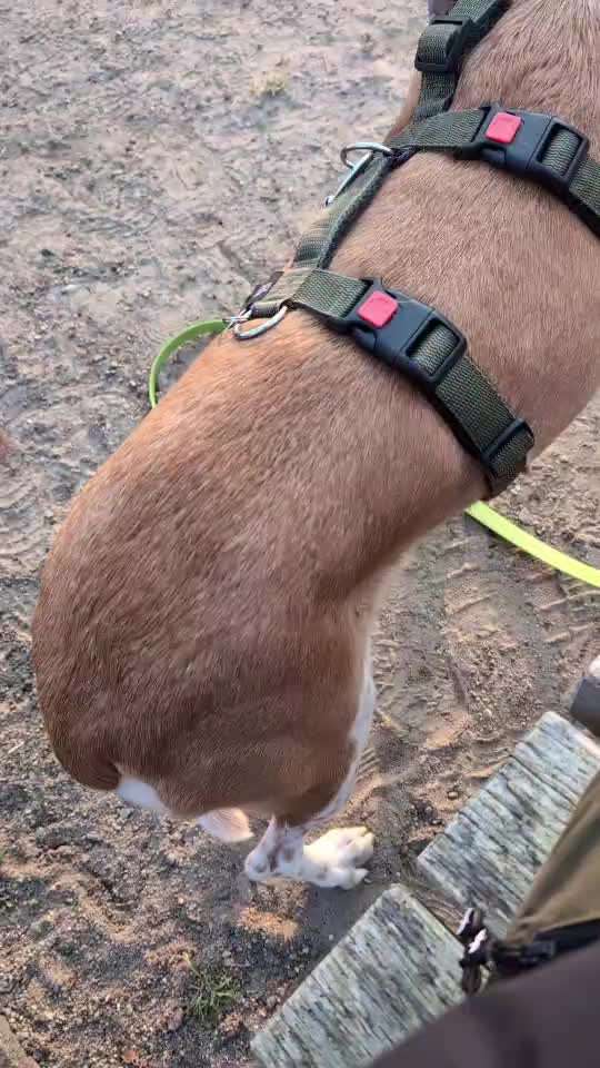 Zittern (bei Stress?)-Beitrag-Bild