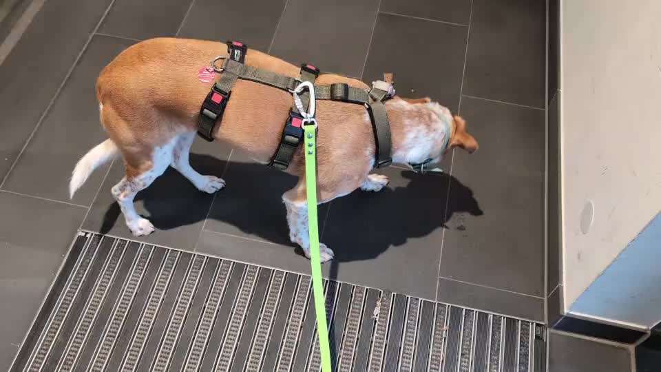 Zittern (bei Stress?)-Beitrag-Bild