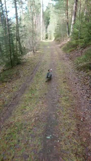 Lange spaziergänge 💪😄-Beitrag-Bild