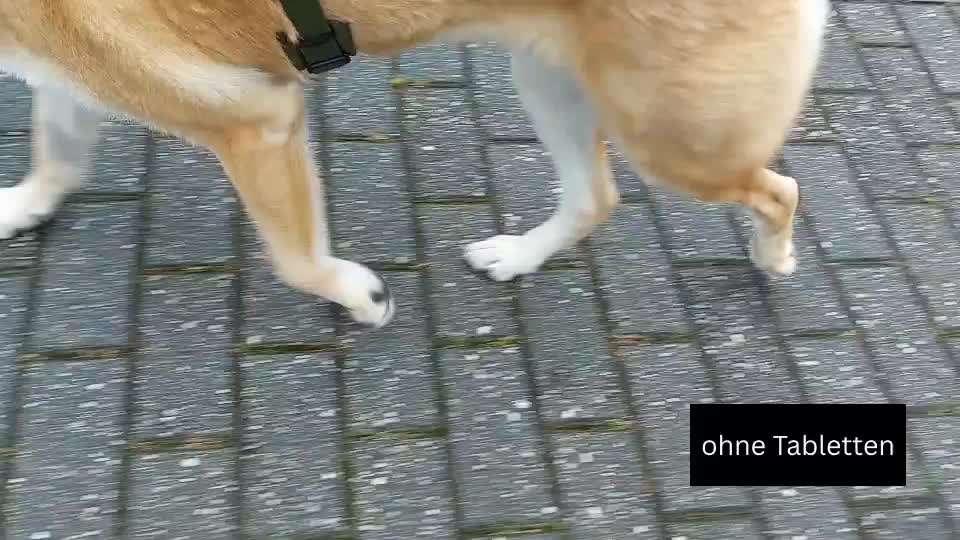 Gangbild - ohne und mit Schmerztabletten-Beitrag-Bild