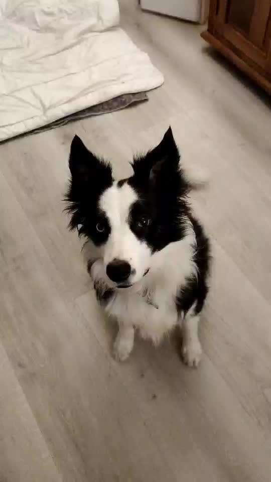 𝕋ℝ𝕀ℂ𝕂 ℂℍ𝔸𝕃𝕃𝔼ℕ𝔾𝔼 ℕℝ. 𝟙-Beitrag-Bild