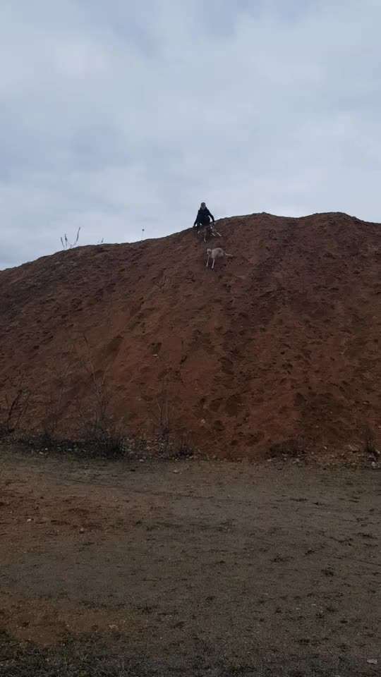 Windhunde - Treffen der besonderen Schönheiten
HERZLICH WILLKOMMEN-Beitrag-Bild