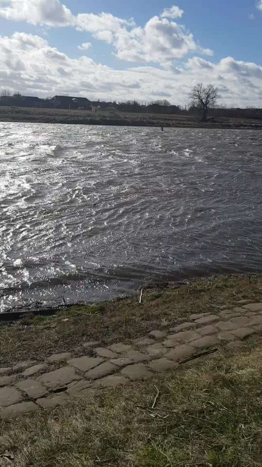 Windhunde - Treffen der besonderen Schönheiten
HERZLICH WILLKOMMEN-Beitrag-Bild