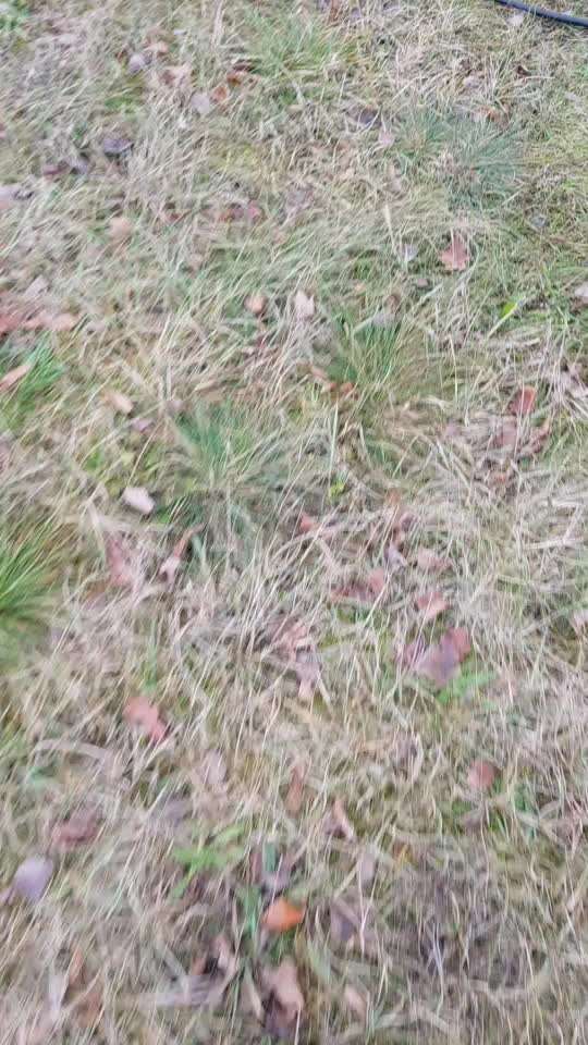 Windhunde - Treffen der besonderen Schönheiten
HERZLICH WILLKOMMEN-Beitrag-Bild