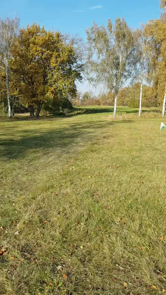 Windhunde - Treffen der besonderen Schönheiten
HERZLICH WILLKOMMEN-Beitrag-Bild