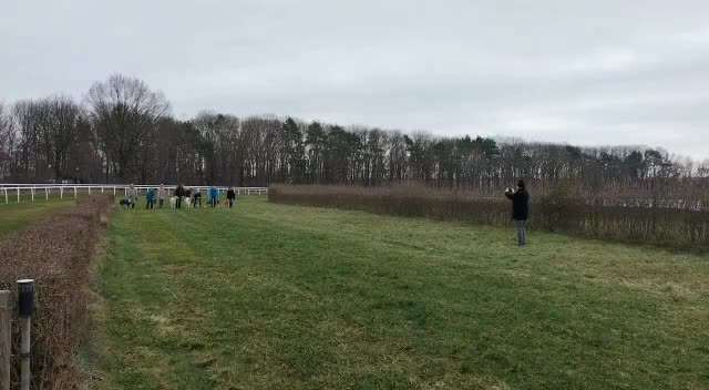 Windhunde - Treffen der besonderen Schönheiten
HERZLICH WILLKOMMEN-Beitrag-Bild