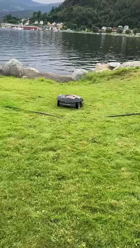 TierschutzhundeStammtisch🐕-Beitrag-Bild