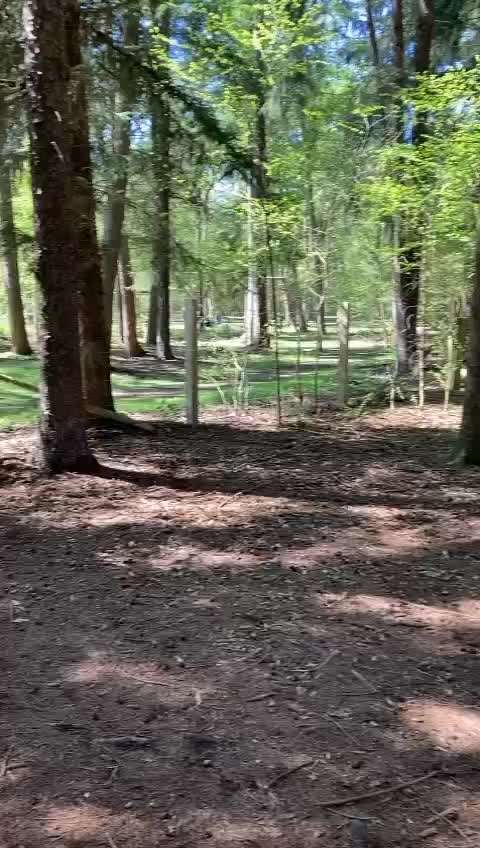 TierschutzhundeStammtisch🐕-Beitrag-Bild