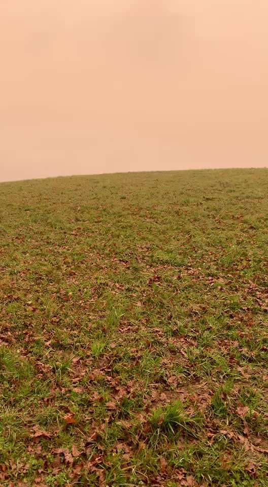Windhunde - Treffen der besonderen Schönheiten
HERZLICH WILLKOMMEN-Beitrag-Bild