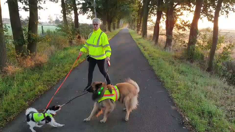 Dunkle Jahreszeit, Sichtbar machen-Beitrag-Bild