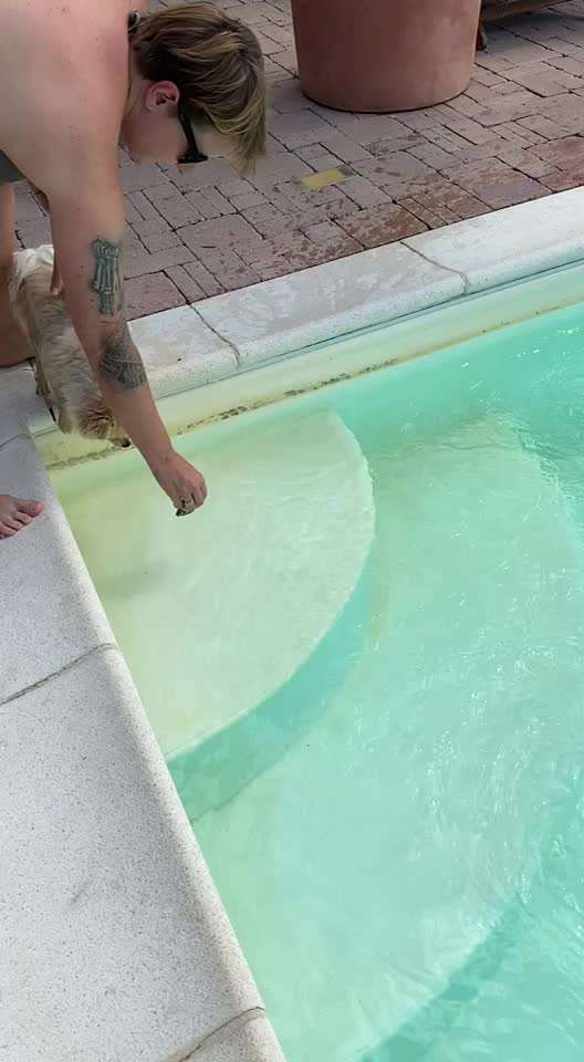 Dogorama-Monats-Challenge-Mai "Wasser"-Beitrag-Bild