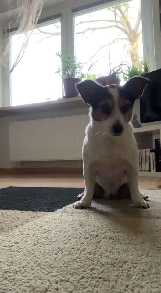 𝕋ℝ𝕀ℂ𝕂 ℂℍ𝔸𝕃𝕃𝔼ℕ𝔾𝔼 ℕℝ. 𝟙-Beitrag-Bild