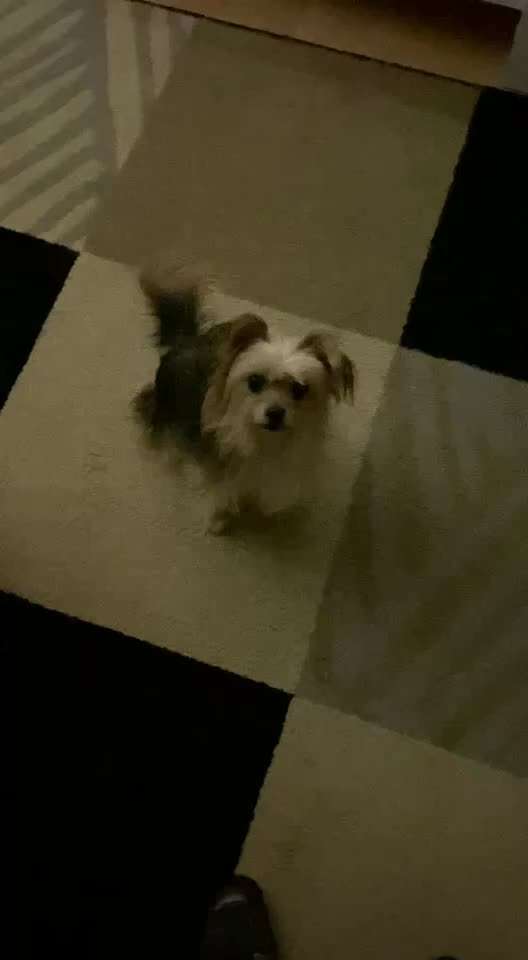 Trick Challange Nr 3-Beitrag-Bild