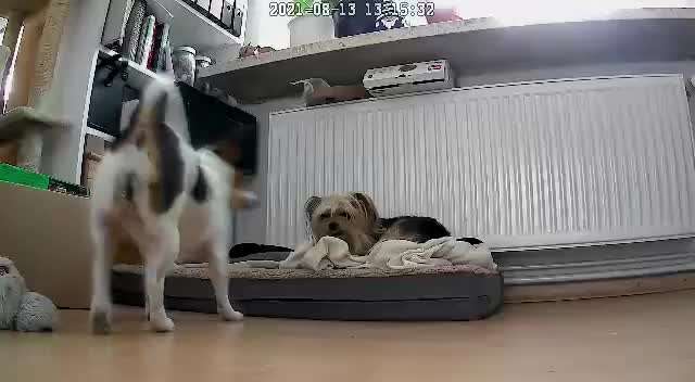 Ungeklärter Rang-Beitrag-Bild