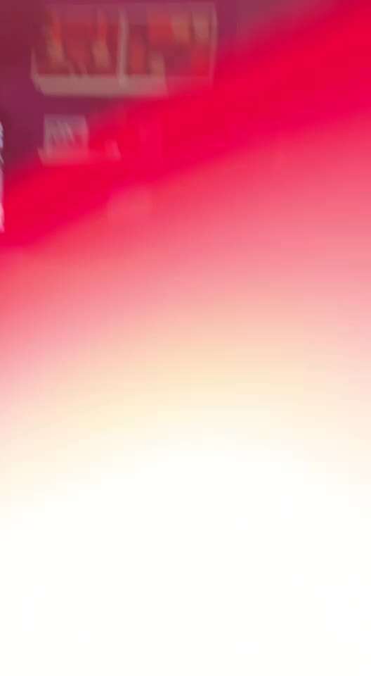 Trickdogging-Beitrag-Bild