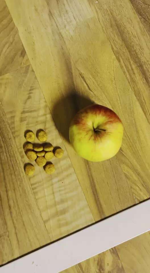 Impulskontrolle-Challenge Nr. 2: Vorbei laufen-Beitrag-Bild