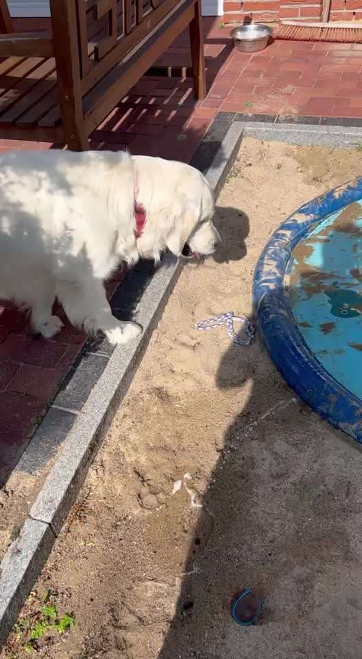 50. Video Challenge - Wasserscheu oder nicht-Beitrag-Bild