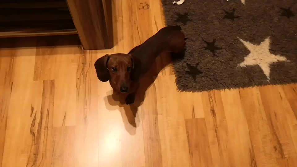 Trick Callange Nr.4-Beitrag-Bild