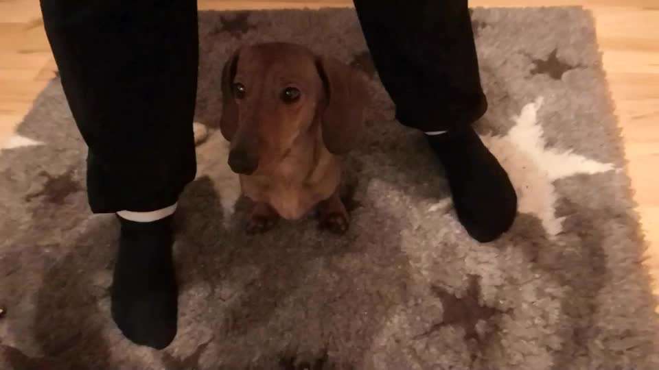 Trick Callange Nr.4-Beitrag-Bild