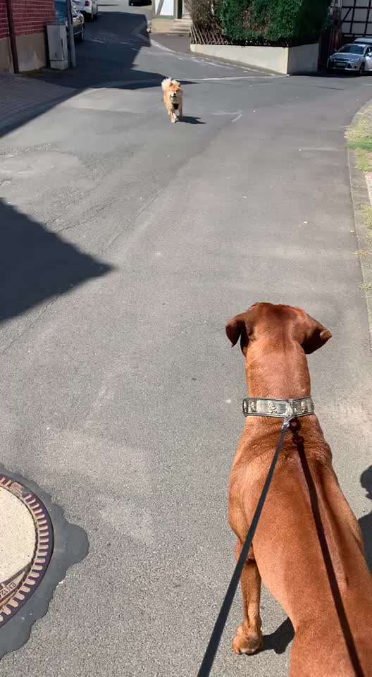 Unangemessenes/absurdes Verhalten von Fremden-Beitrag-Bild