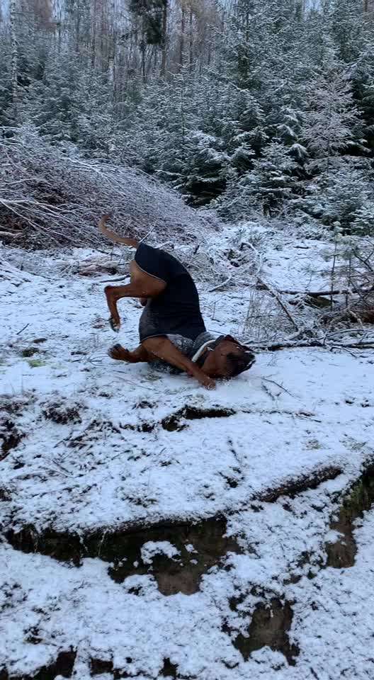 Dogorama Photo Challenge - Es wird nochmal kalt!-Beitrag-Bild