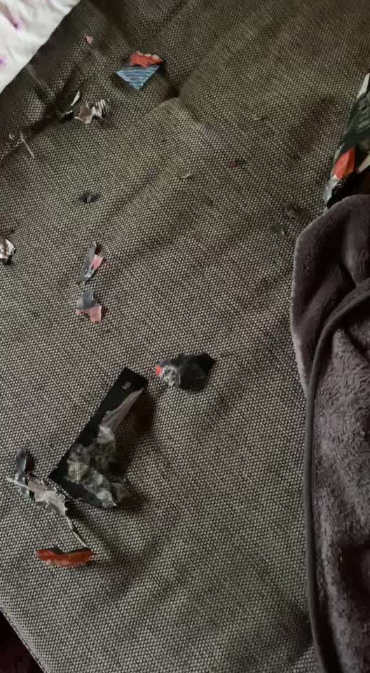 Windhunde - Treffen der besonderen Schönheiten
HERZLICH WILLKOMMEN-Beitrag-Bild