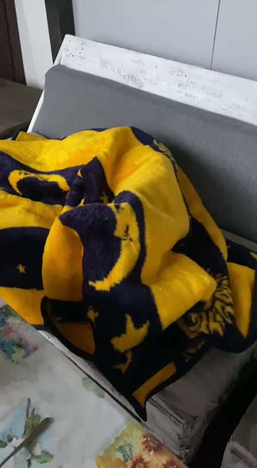 Windhunde - Treffen der besonderen Schönheiten
HERZLICH WILLKOMMEN-Beitrag-Bild