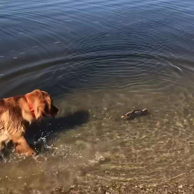 Eure Strandbilder :)-Beitrag-Bild