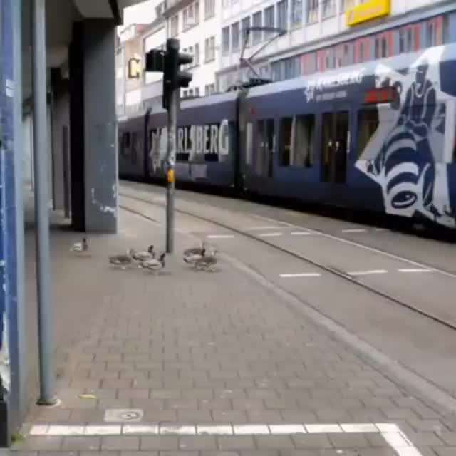 Freundschaftsanfragen-Beitrag-Bild