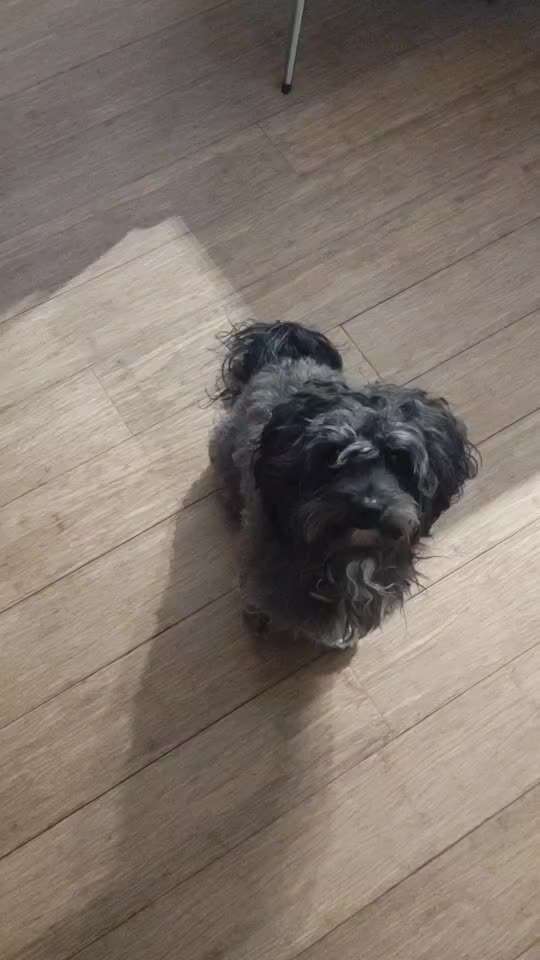 𝕋ℝ𝕀ℂ𝕂 ℂℍ𝔸𝕃𝕃𝔼ℕ𝔾𝔼 ℕℝ. 𝟙-Beitrag-Bild