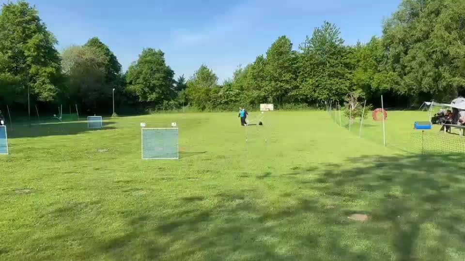 Hoopers Agility-Beitrag-Bild