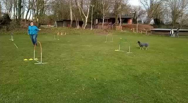 Hoopers unser Sport-Beitrag-Bild