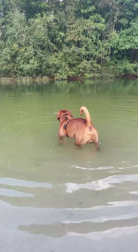 50. Video Challenge - Wasserscheu oder nicht-Beitrag-Bild