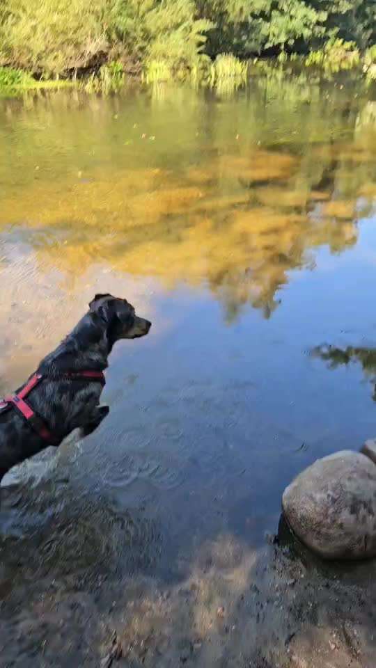 50. Video Challenge - Wasserscheu oder nicht-Beitrag-Bild