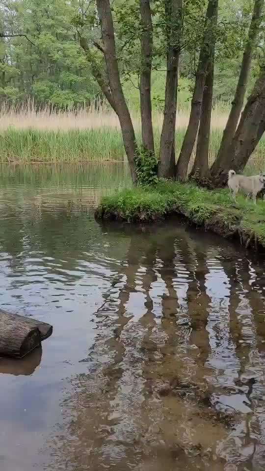 Handy Video Challenge Nr. 31: Wasser-Beitrag-Bild