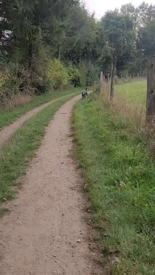 46. Video Challenge - Trainingserfolg-Beitrag-Bild