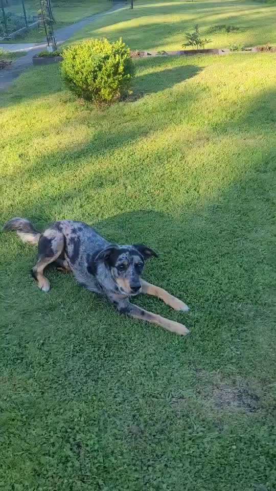 44. Video Challenge - Spielen mit dem Lieblingsspielzeug-Beitrag-Bild