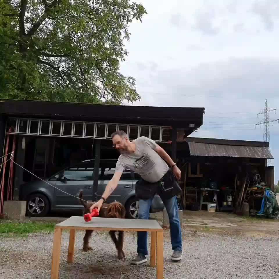 Dennis Panthen - der_Jagdhundeausbilder-Beitrag-Bild