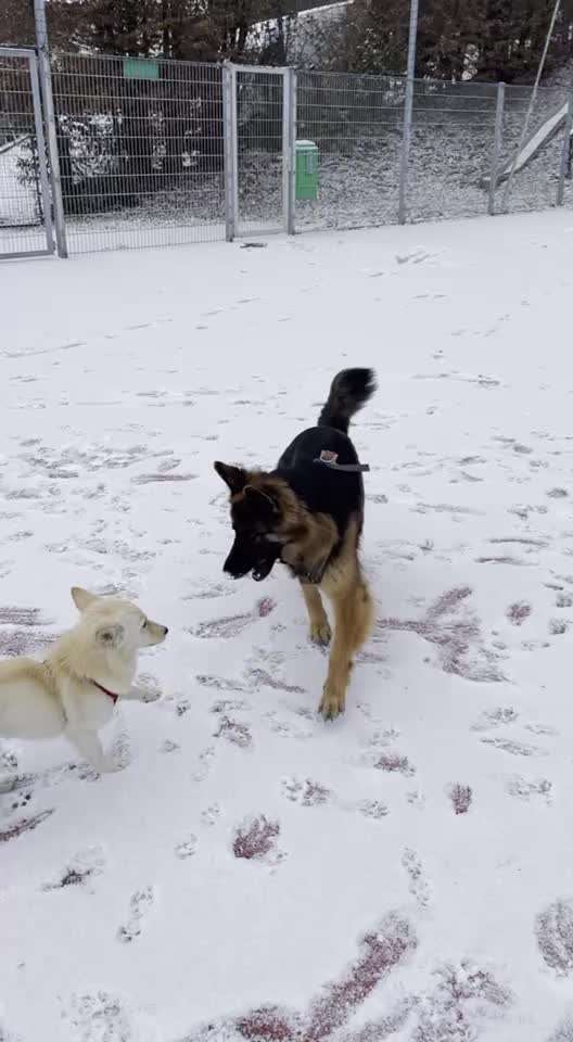 Analyse & Interpretation von Verhalten-Beitrag-Bild